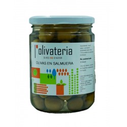 Olivas Salmuera Bio 225 Gr