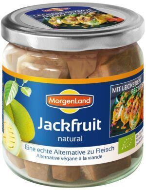 PULPA DE YACA (JACHFRUIT)180GR
